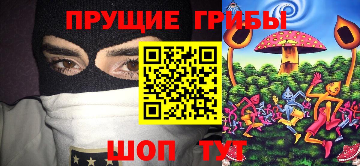 Истра  Галлюциногенные грибы MAGIC MUSHROOMS  Псилоцибиновые грибы мухоморы  Вход с VPN 